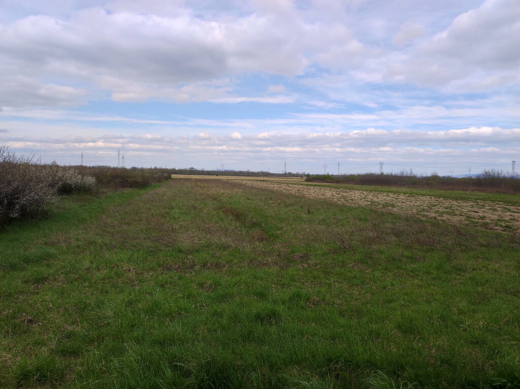 Image 6171931 - 3