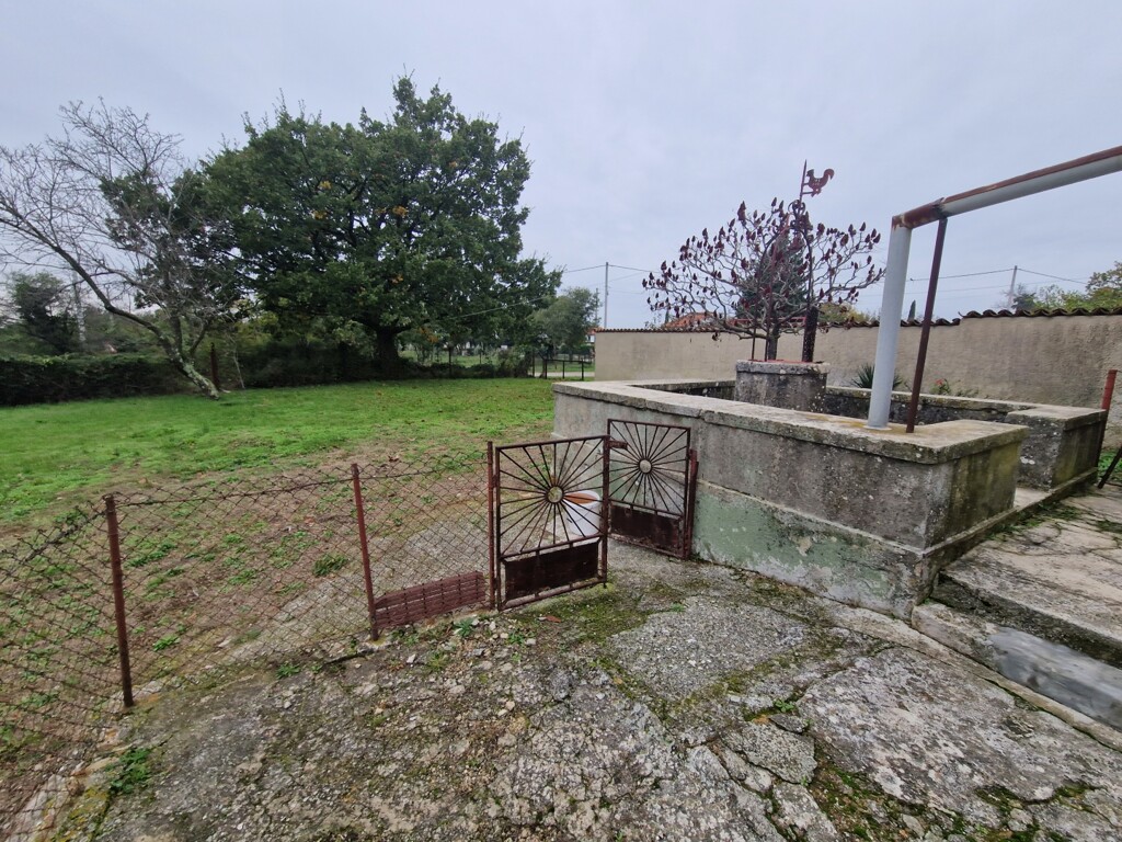 Image 6171952 - 8