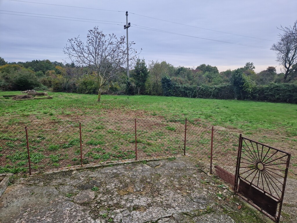 Image 6171952 - 5