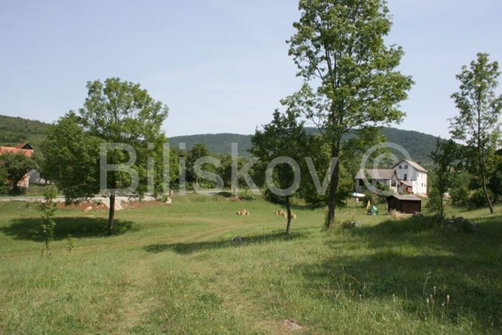 Image 6172381 - 1