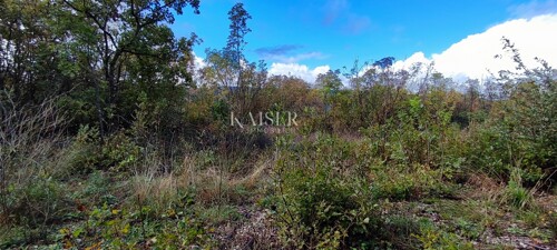 Thumbnail 6172506 - 5