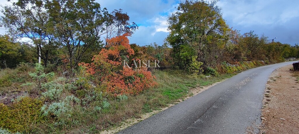Image 6172506 - 3