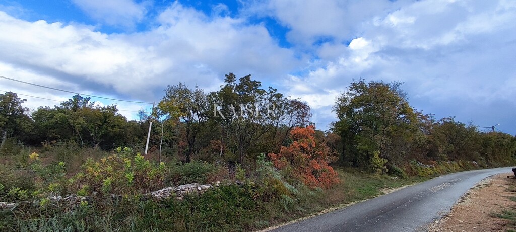 Image 6172506 - 2
