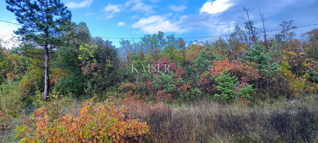 Image 6172506 - 6