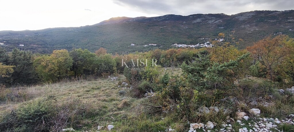 Image 6172507 - 8
