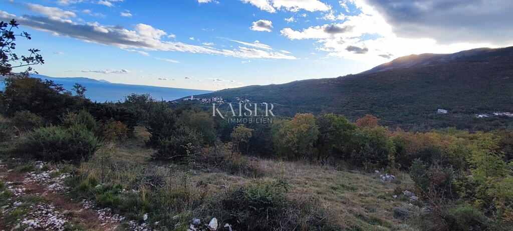 Image 6172507 - 5