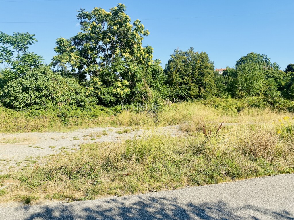Image 6172508 - 2
