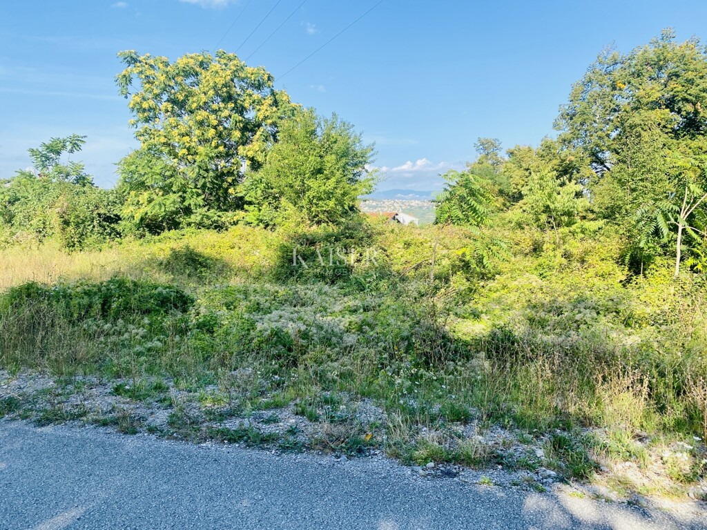 Image 6172508 - 1