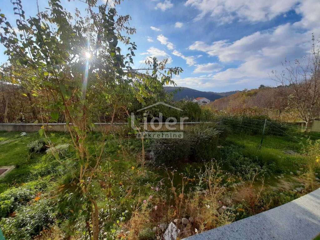 Image 6173081 - 12