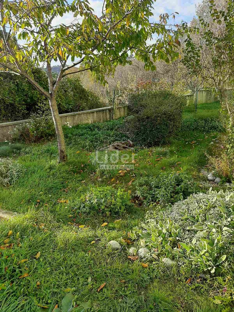 Image 6173081 - 1