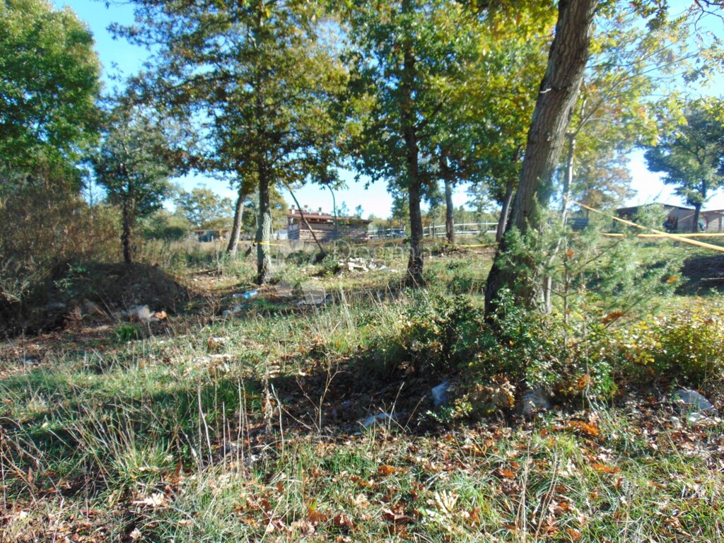 Image 6173097 - 2