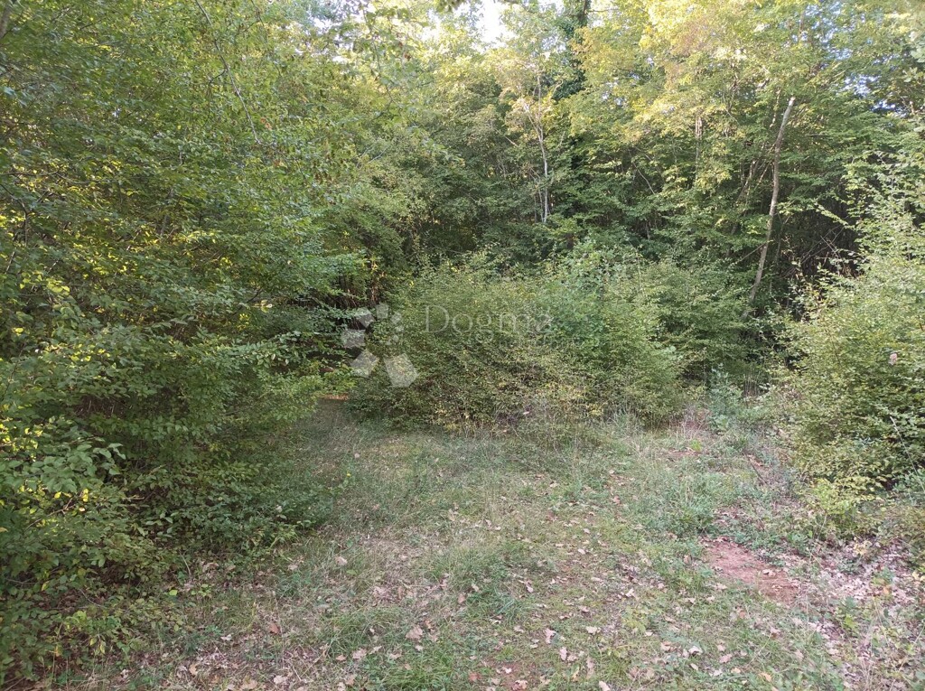 Image 6173100 - 1