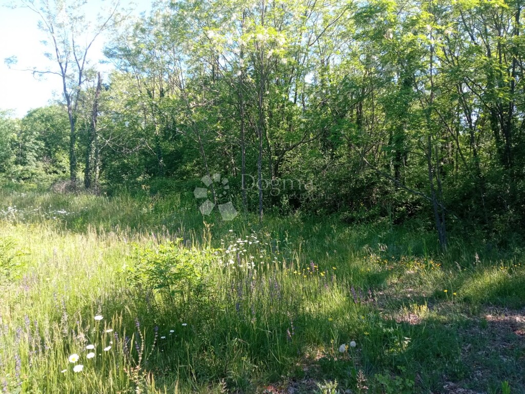Image 6173103 - 1