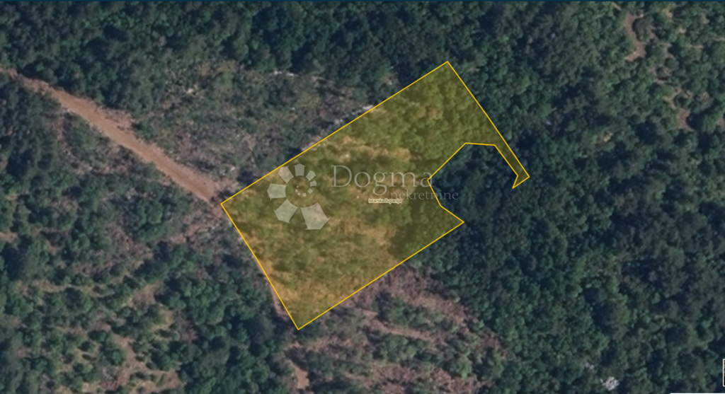 Image 6173106 - 2