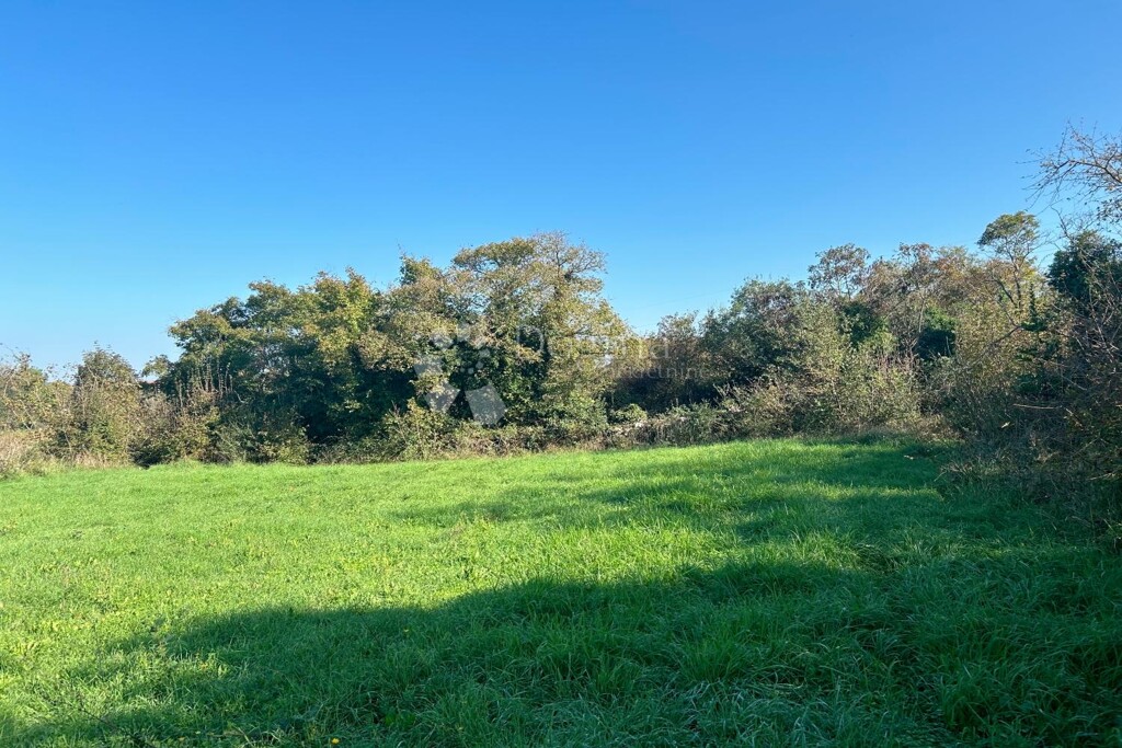 Image 6173109 - 2