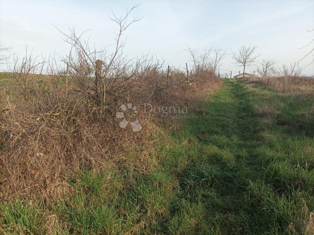 Image 6173130 - 4