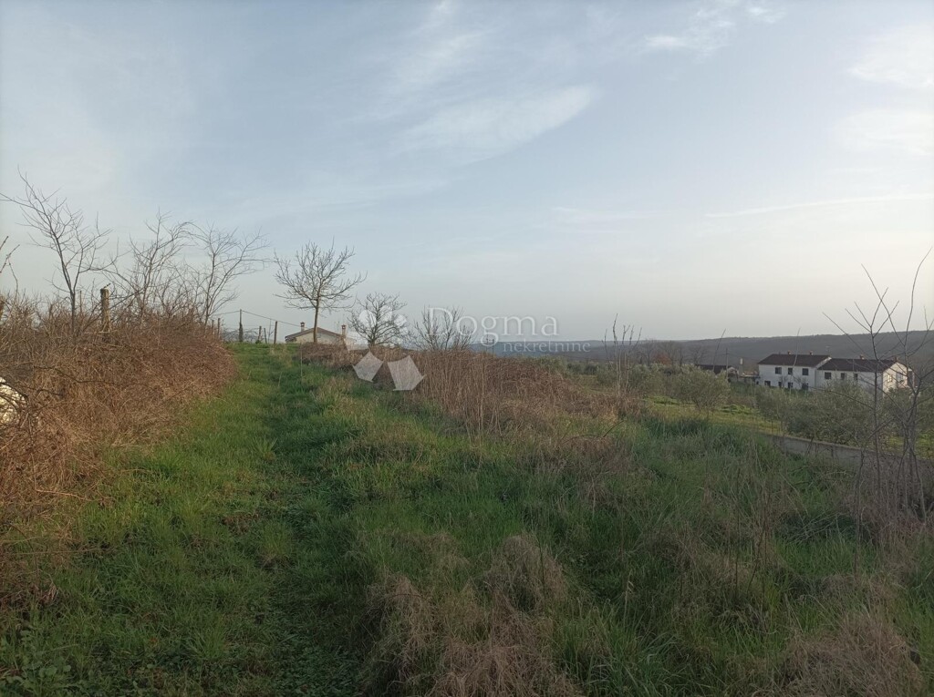 Image 6173130 - 5