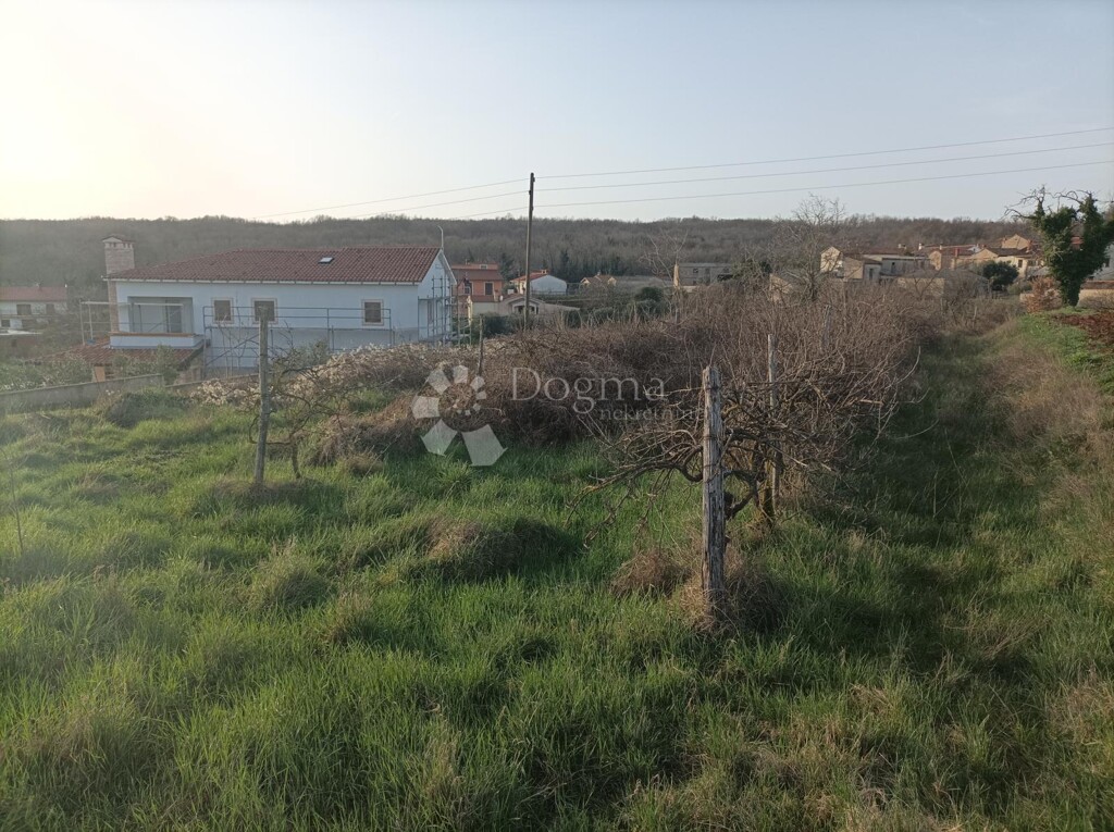 Image 6173130 - 6