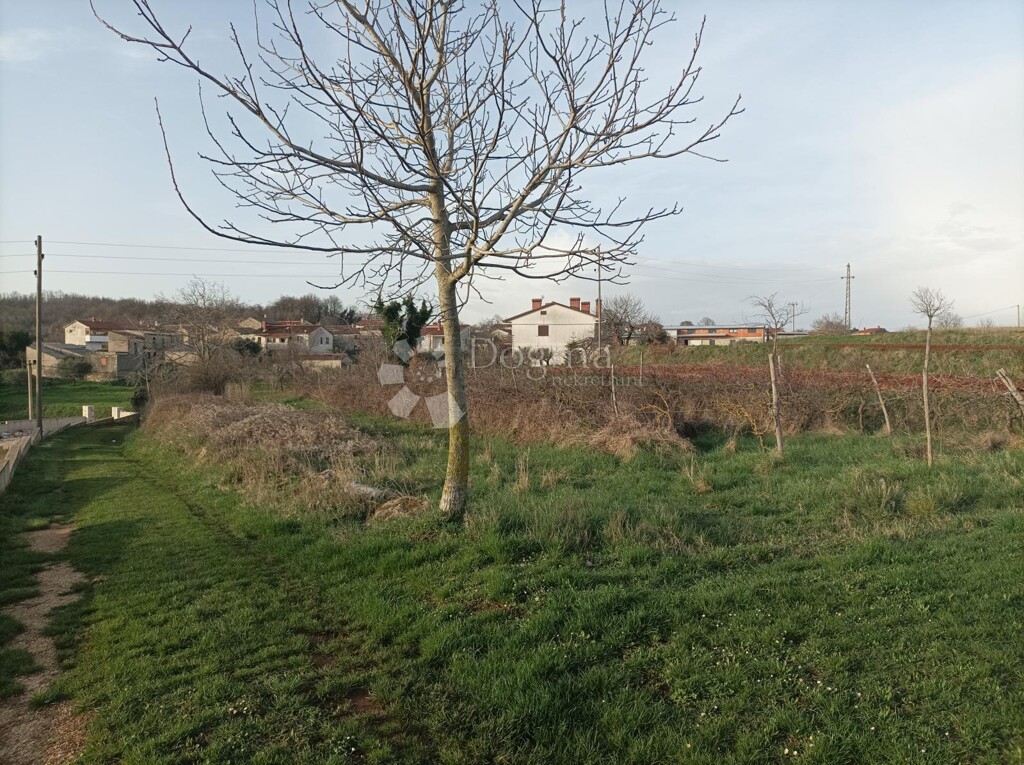 Image 6173130 - 3