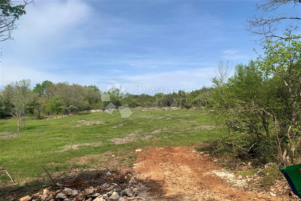 Image 6173147 - 5