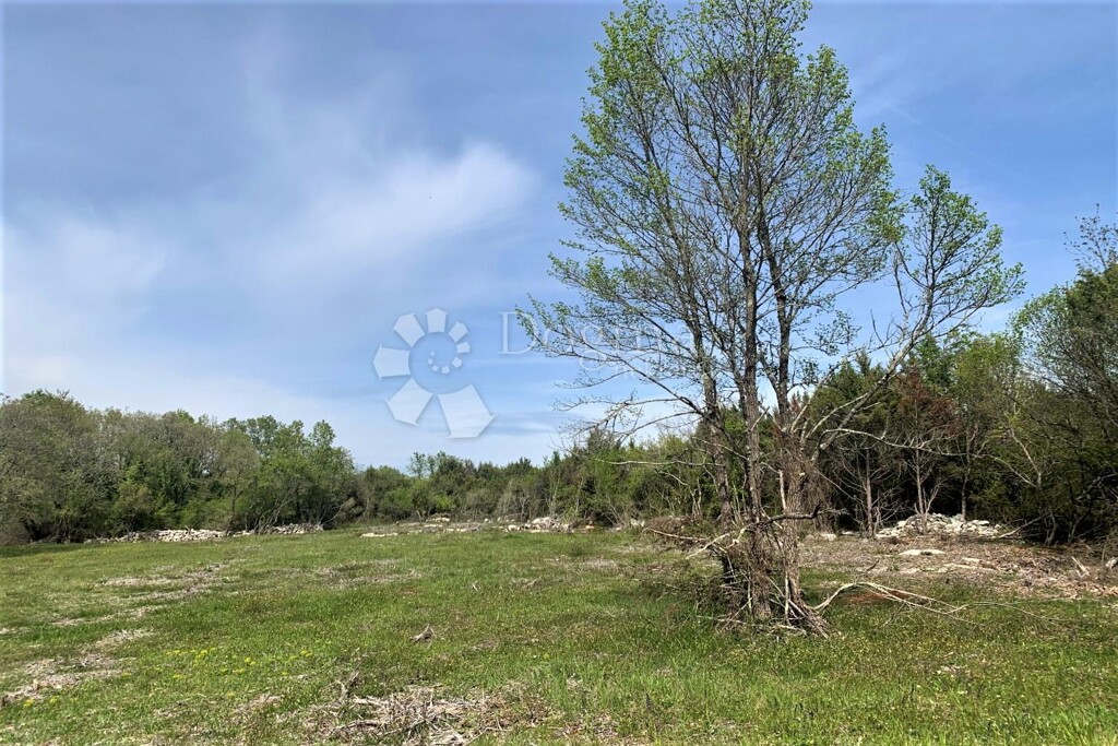 Image 6173147 - 7