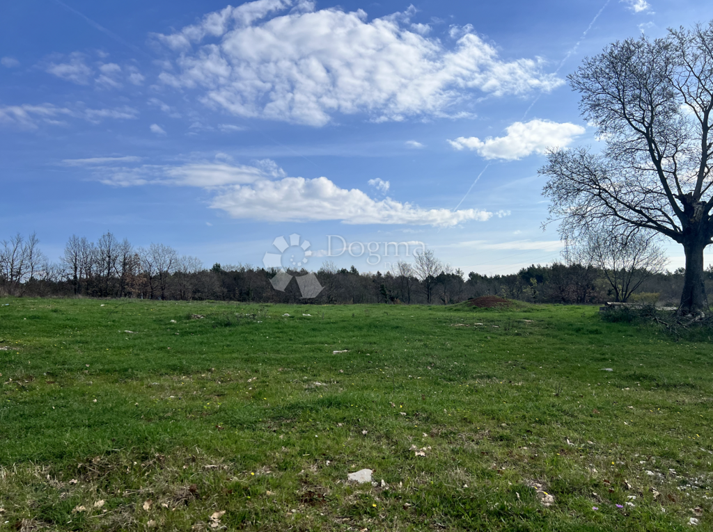 Image 6173149 - 1