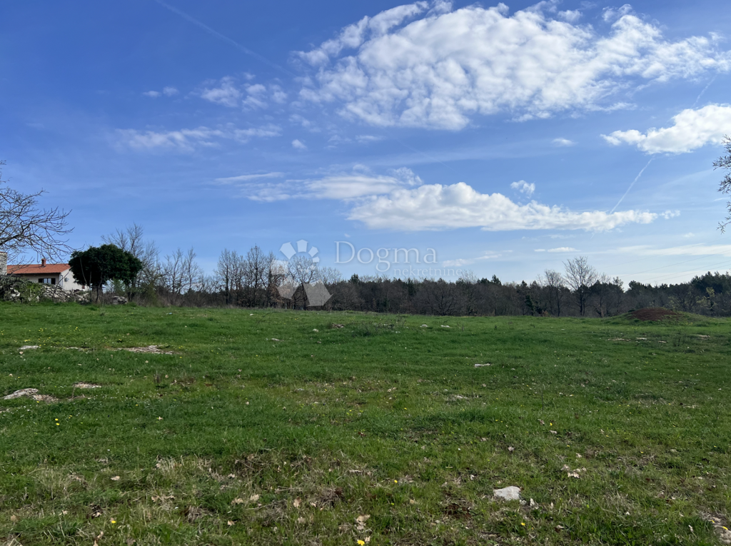 Image 6173149 - 3
