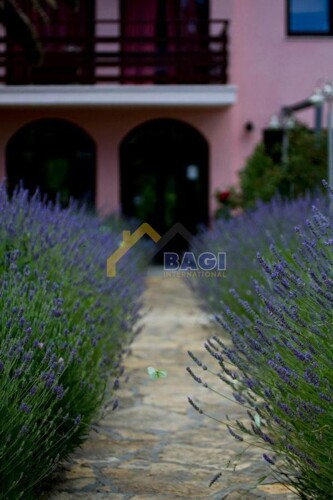 Thumbnail 6173182 - 12