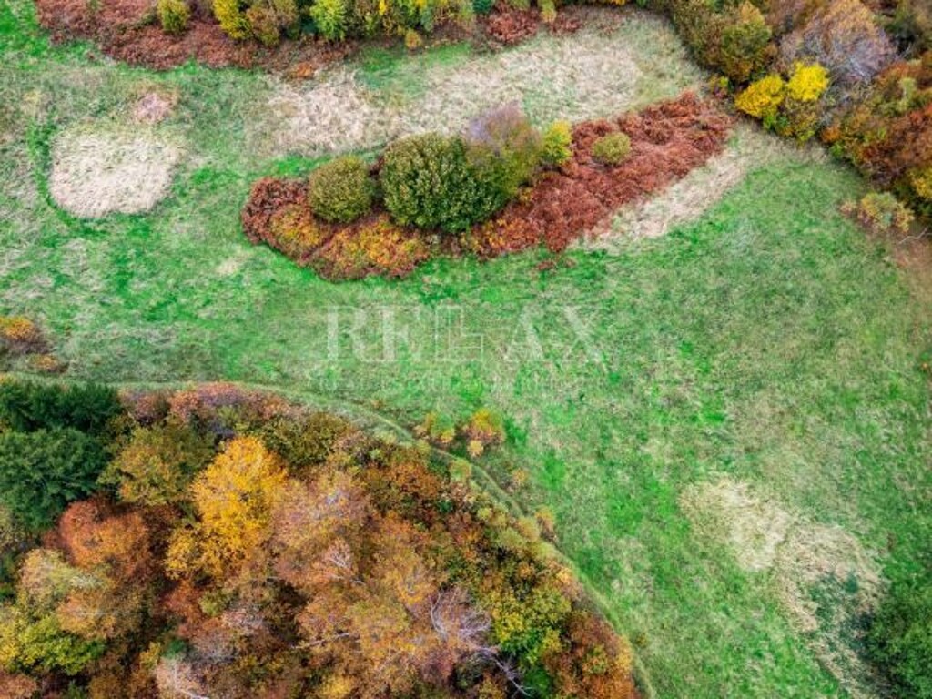Image 6173231 - 6
