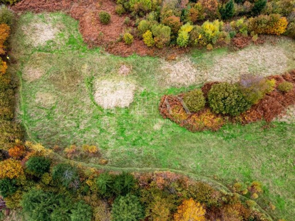 Image 6173231 - 9