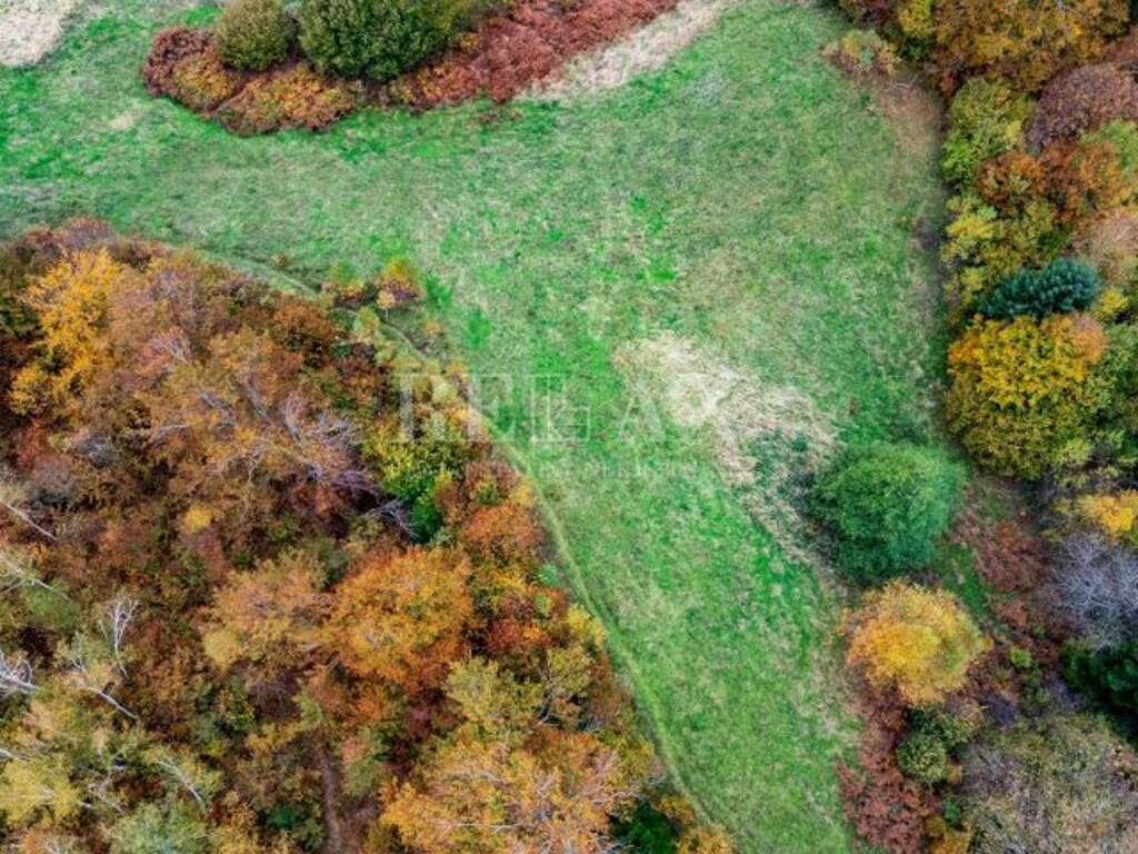 Image 6173231 - 7