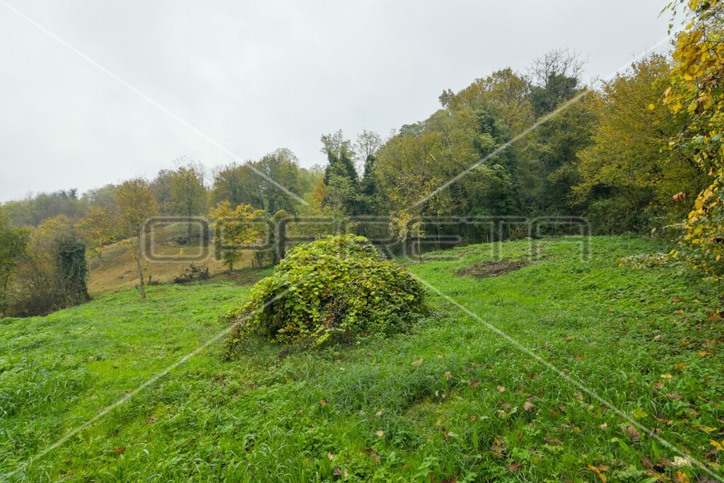 Image 6173303 - 14