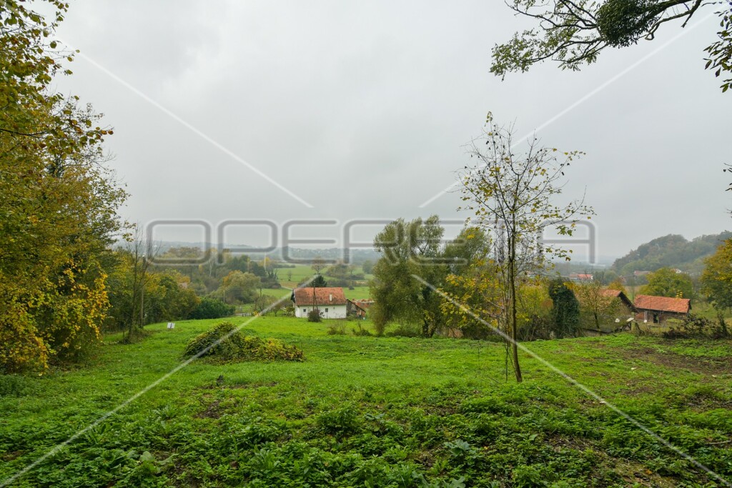 Image 6173303 - 15