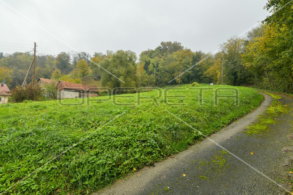 Image 6173303 - 13