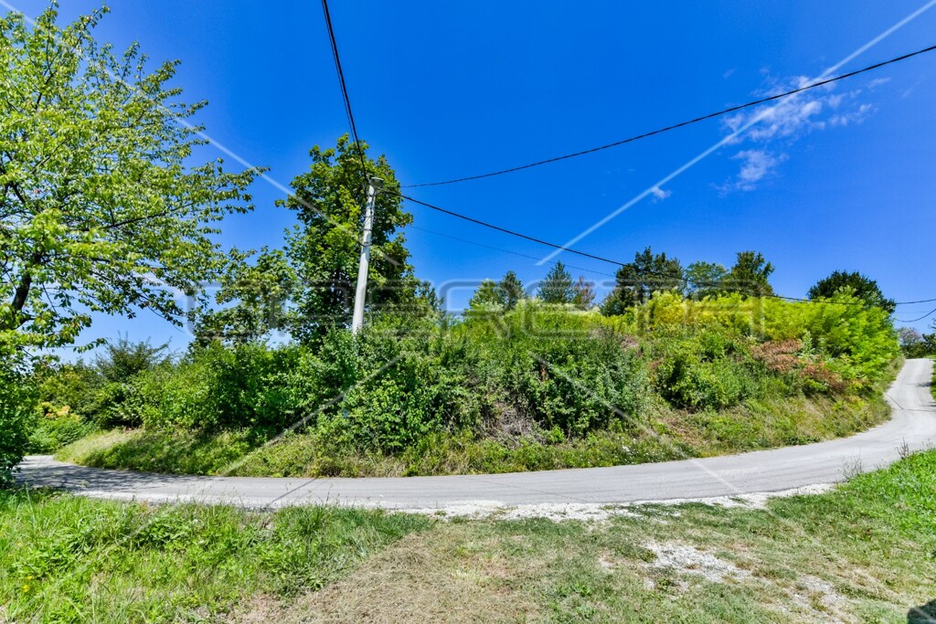 Image 6173309 - 14