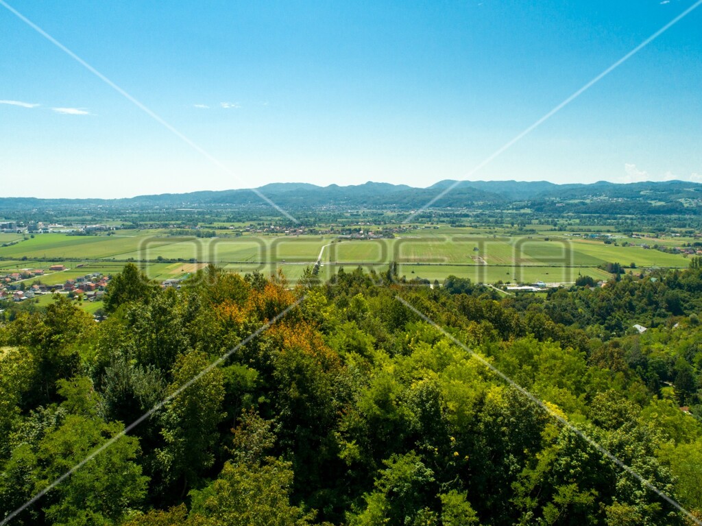Image 6173309 - 17