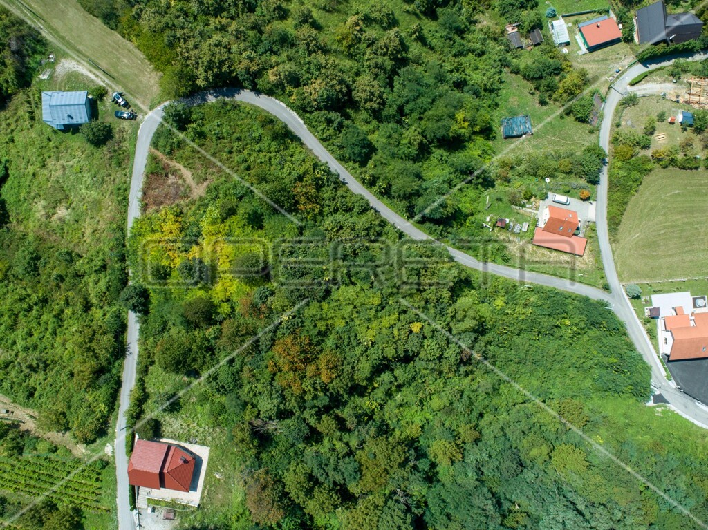 Image 6173309 - 10
