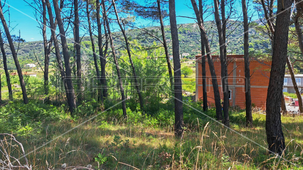 Image 6173311 - 5