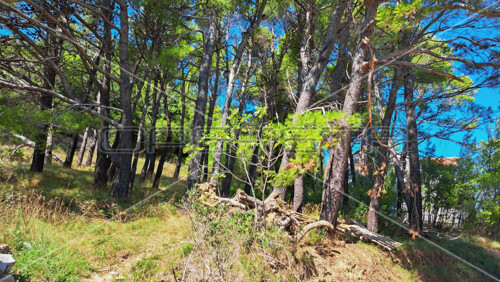 Mundanije, Rab, 791,00 m2, 73.000,00 EUR