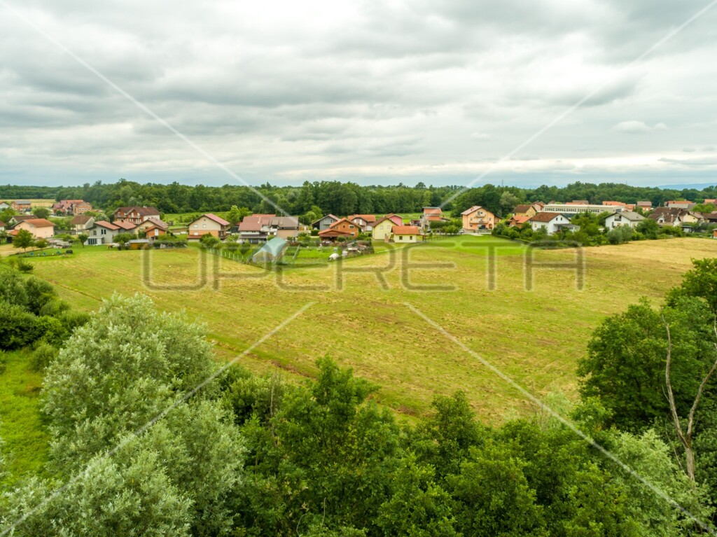 Image 6173312 - 5