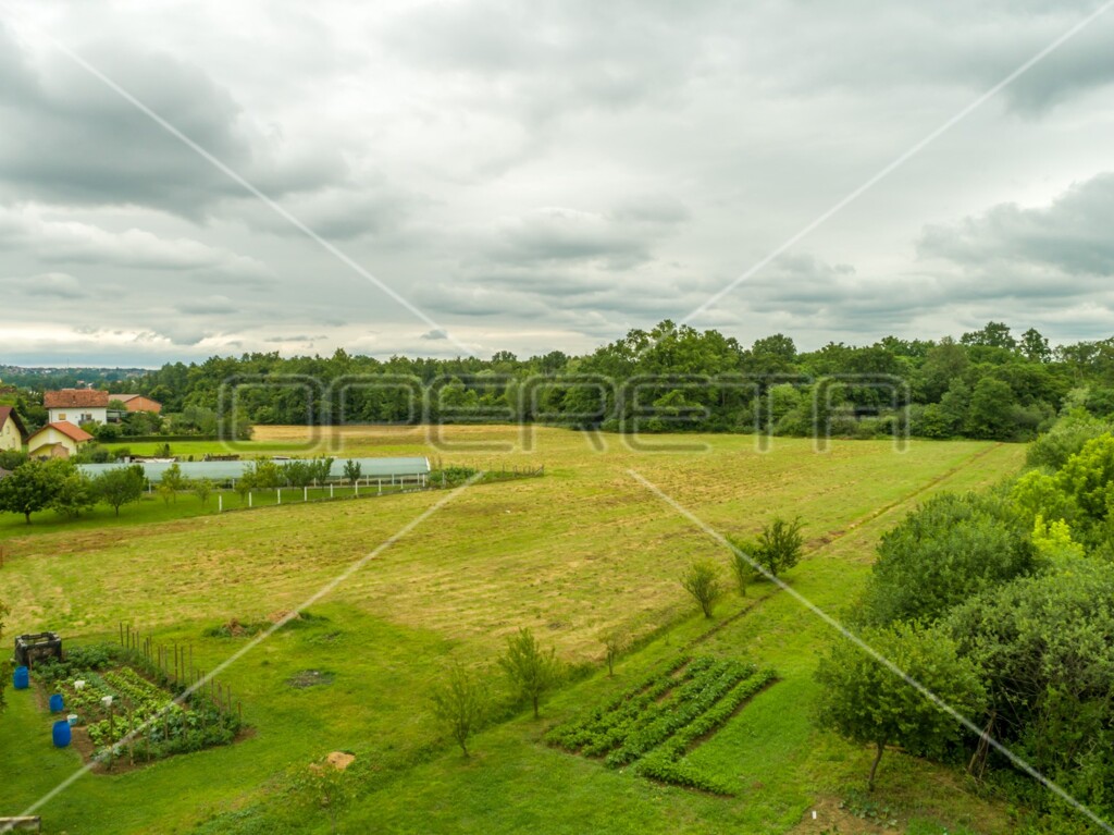 Image 6173312 - 8