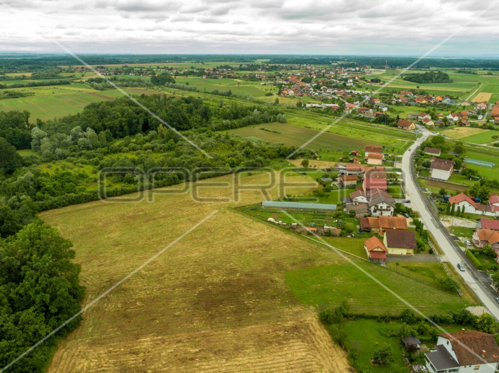Image 6173312 - 10