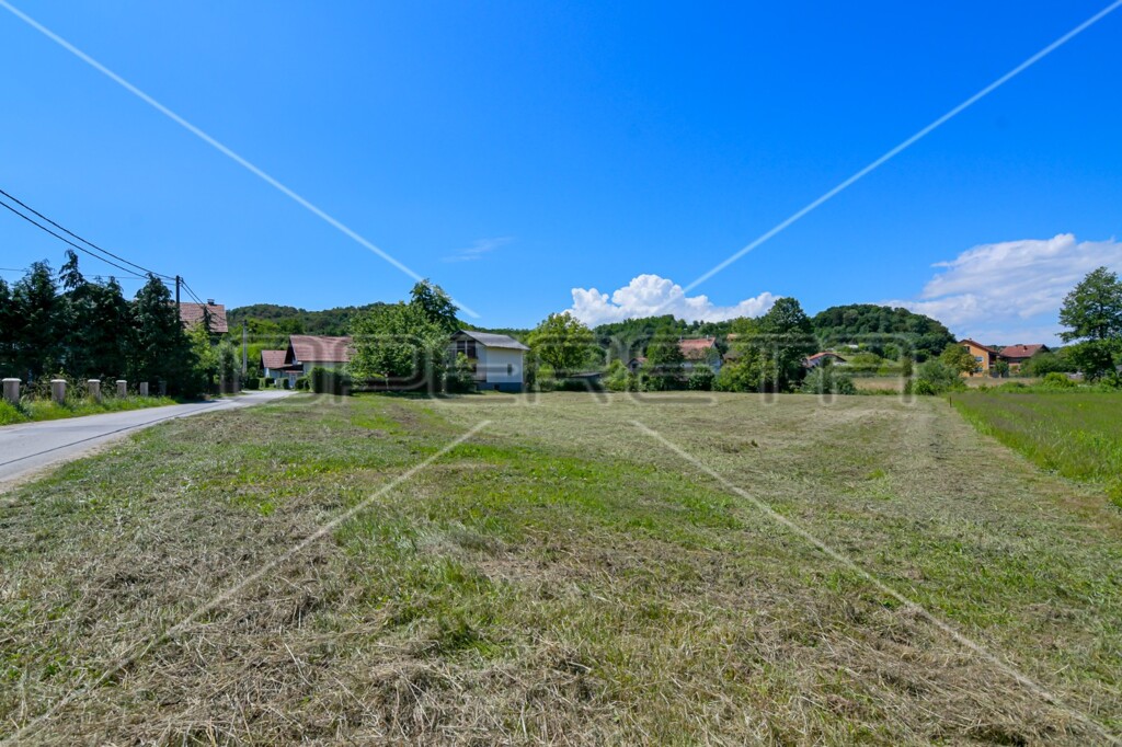 Image 6173313 - 10