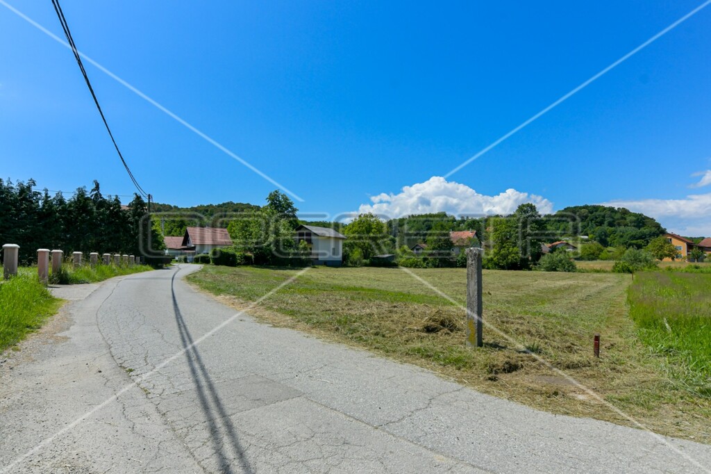 Image 6173313 - 12