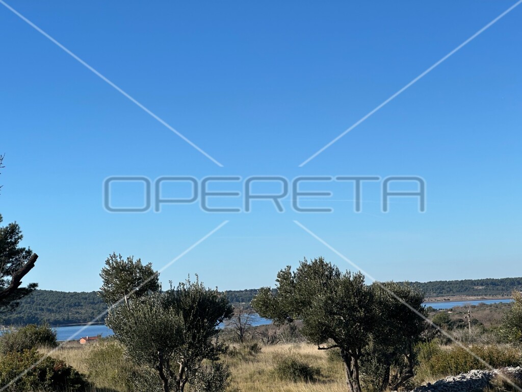 Image 6173319 - 2