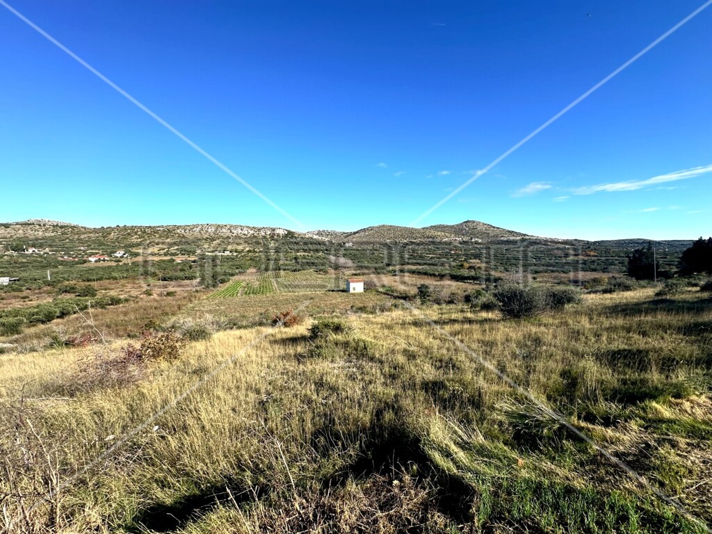 Image 6173319 - 4