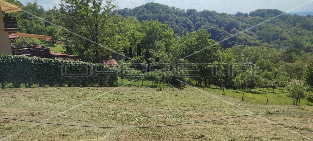 Image 6173320 - 4