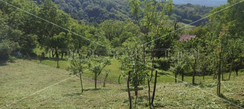 Hruševec, Donja Stubica, 987,00 m2, 29.000,01 EUR