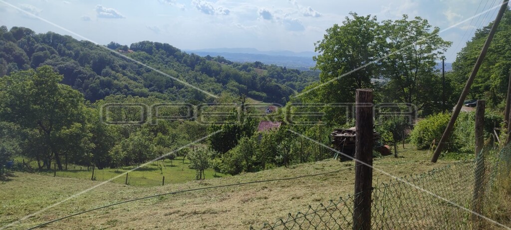 Image 6173320 - 3