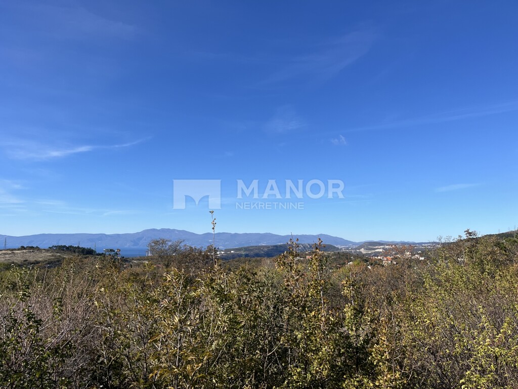Image 6173368 - 2
